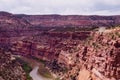 The Dolores River Canyon